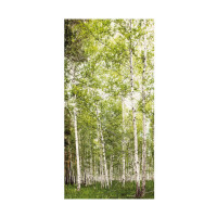 Aluwall Wandpaneel Birkenwald gallery