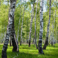 Aluwall Küchenrückwand gallery 19_2nd