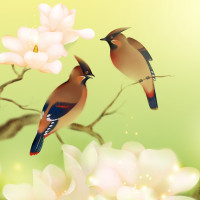 Aluwall Küchenrückwand gallery 23_2nd