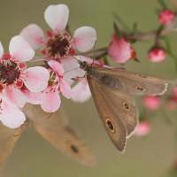 Aluwall Küchenrückwand gallery 24_2nd