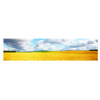 Aluwall Küchenrückwand Weizenf gallery